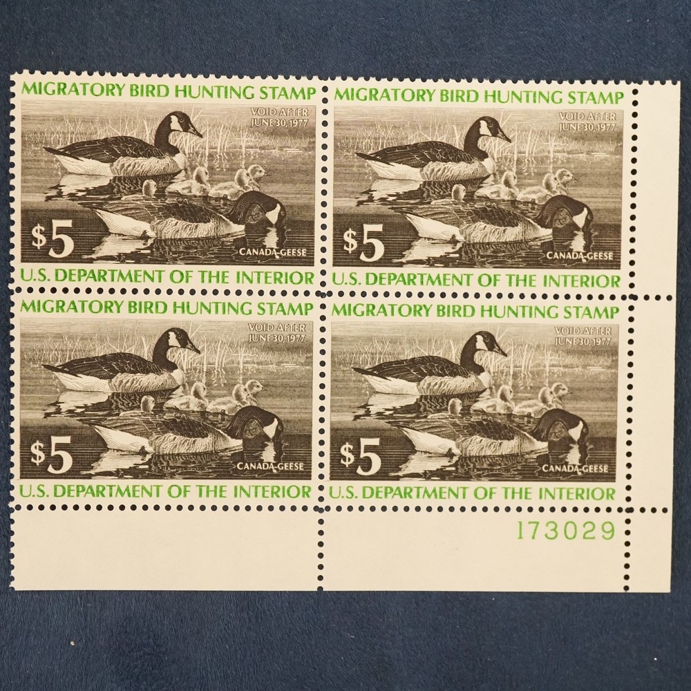 1976 U.S. $5 Federal Duck Stamp Mint Plate Block of 4, MNH, Canada Geese RW43