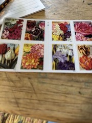 20 Botanical Art US Forever Postage Stamps, USPS Forever Stamps, Postal Stamps