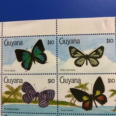 World Butterfly Stamps Guyana 1990 Butterflies Unused 16 Full Sheets