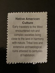 2869e (NATIVE AMERICAN CULTURE) US Stamp (29 Cents)