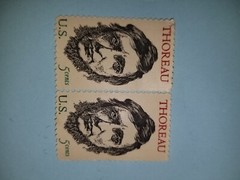 Stamps! Looking for best Offer. Individually or the whole lot!