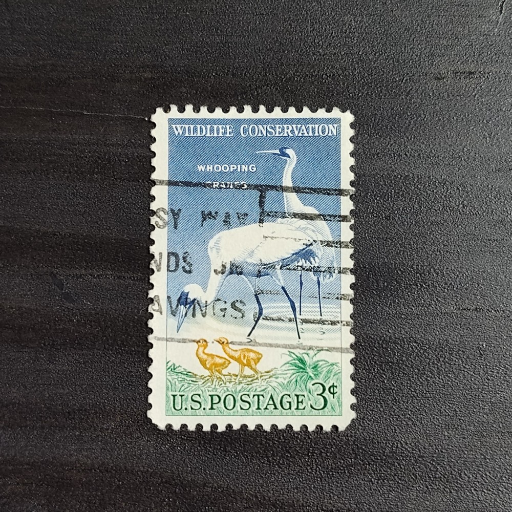 1957: 3 Cents, Whooping Cranes, Scott #1098 – Vintage USA Stamp