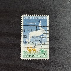 1957: 3 Cents, Whooping Cranes, Scott #1098 – Vintage USA Stamp