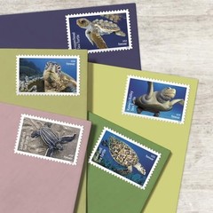 USPS Protect Sea Turtles 2024 First-Class Mail Forever Postage Stamps – 1 Sheet