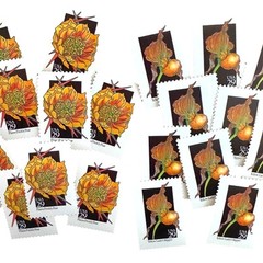 Set of 50 USPS Mail Stamps UNUSED – Vintage Yellow/Orange/Green Flowers, 29 Cent