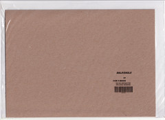 USPS Bald Eagle Sheet of 20 Forever Stamps – Sealed