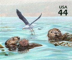 USA 2009 KELP FOREST 11 TH IN SERIES NATURE OF AMERICA TEN STAMPS,SCOTT 4423 MNH