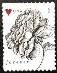 Vintage Rose Wedding Forever 5 Panes 100 Stamps MNH Self AdhesiveScott 4959