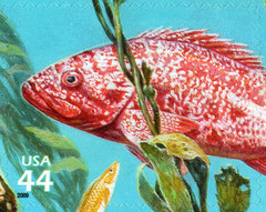 USA 2009 KELP FOREST 11 TH IN SERIES NATURE OF AMERICA TEN STAMPS,SCOTT 4423 MNH