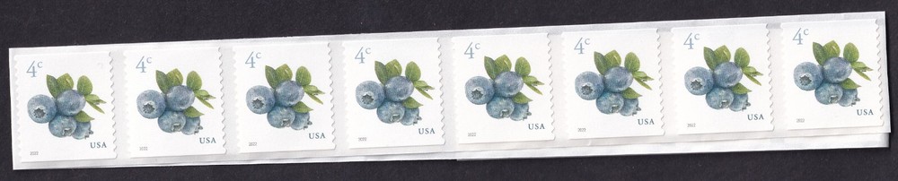 Scott #5653 Blueberries (4¢) 40 Coil Stamps – MNH