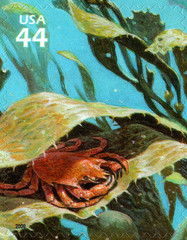 USA 2009 KELP FOREST 11 TH IN SERIES NATURE OF AMERICA TEN STAMPS,SCOTT 4423 MNH