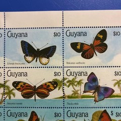 World Butterfly Stamps Guyana 1990 Butterflies Unused 16 Full Sheets