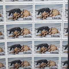 MNH Scott #2025 Puppy & Kitten 1982 – 13 Cent Stamp Sheet of Stamps