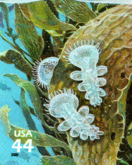 USA 2009 KELP FOREST 11 TH IN SERIES NATURE OF AMERICA TEN STAMPS,SCOTT 4423 MNH