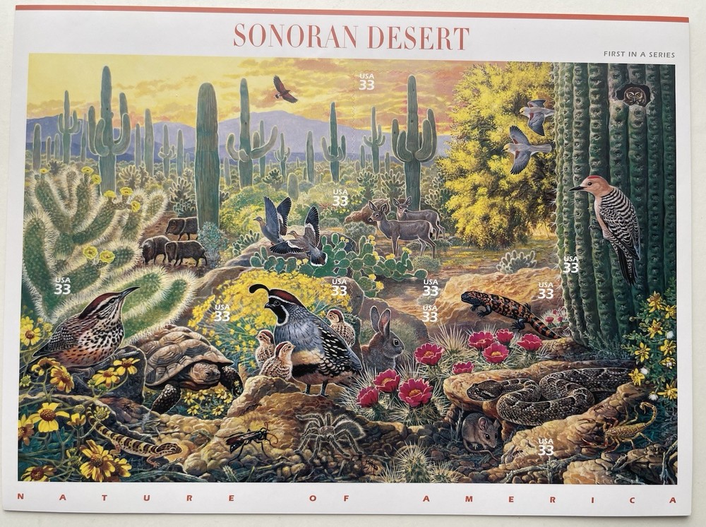 USA 33 Cent Nature of America: Sonoran Desert Postage Stamps, Full Sheet of 25