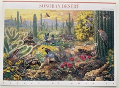 USA 33 Cent Nature of America: Sonoran Desert Postage Stamps, Full Sheet of 25