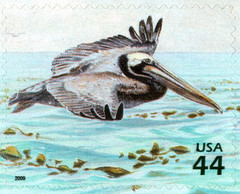USA 2009 KELP FOREST 11 TH IN SERIES NATURE OF AMERICA TEN STAMPS,SCOTT 4423 MNH