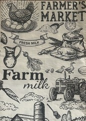 Two Individual dinner Decoupage Napkins Farm House Eggs/chickens/tractor/cows