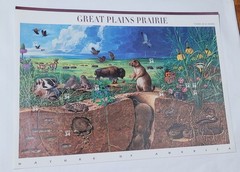 Great Plains Prairie Commemorative – US #3506 Full Mint Sheet – 34 cents MNH