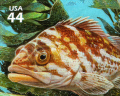 USA 2009 KELP FOREST 11 TH IN SERIES NATURE OF AMERICA TEN STAMPS,SCOTT 4423 MNH