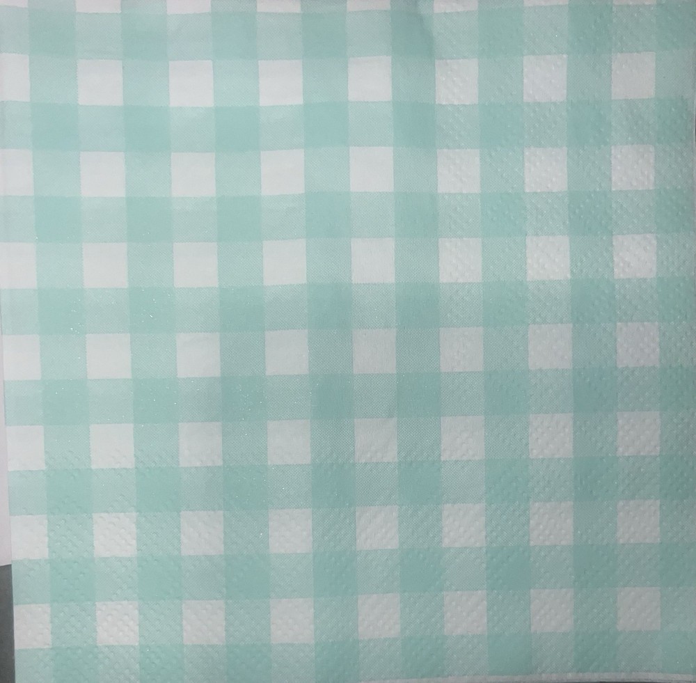 Three Paper Beverage Decoupage Craft Napkins Easter Checker Pastel Mint Green 5”