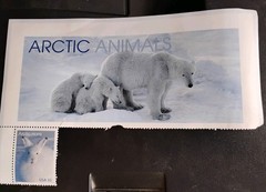 USPS Vintage Stamp «Artic Hare» 1998. FREE DELIVERY TO YOU