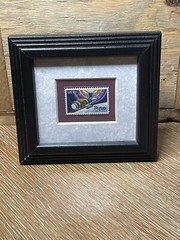 United States 10 Cents Skylab US Postage Stamp Mint Condition Framed