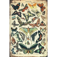 New Tin Sign Butterfly Illustrated Book Retro Antique Insect Poster Natural