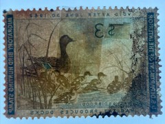 RW28 – Federal Duck Stamp D44