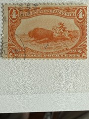 US Stamp Used, Scott #287 1898 Orange Indian Hunting Buffalo 4 Cents