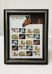 Horses USPS Forever Postage Stamp 1 Book of 20 & 8×10 Picture Frame (CUPECOY)