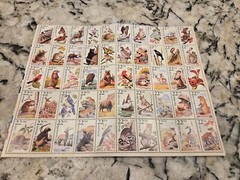 USPS Postage Stamps Collection: Wildlife, Presidents, Clock, Tiffany Lamp, etc.