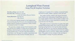 First Day Of Issue Apr 26 02 Tallahassee FL 22kt Gold Replica Fox & Tortoise
