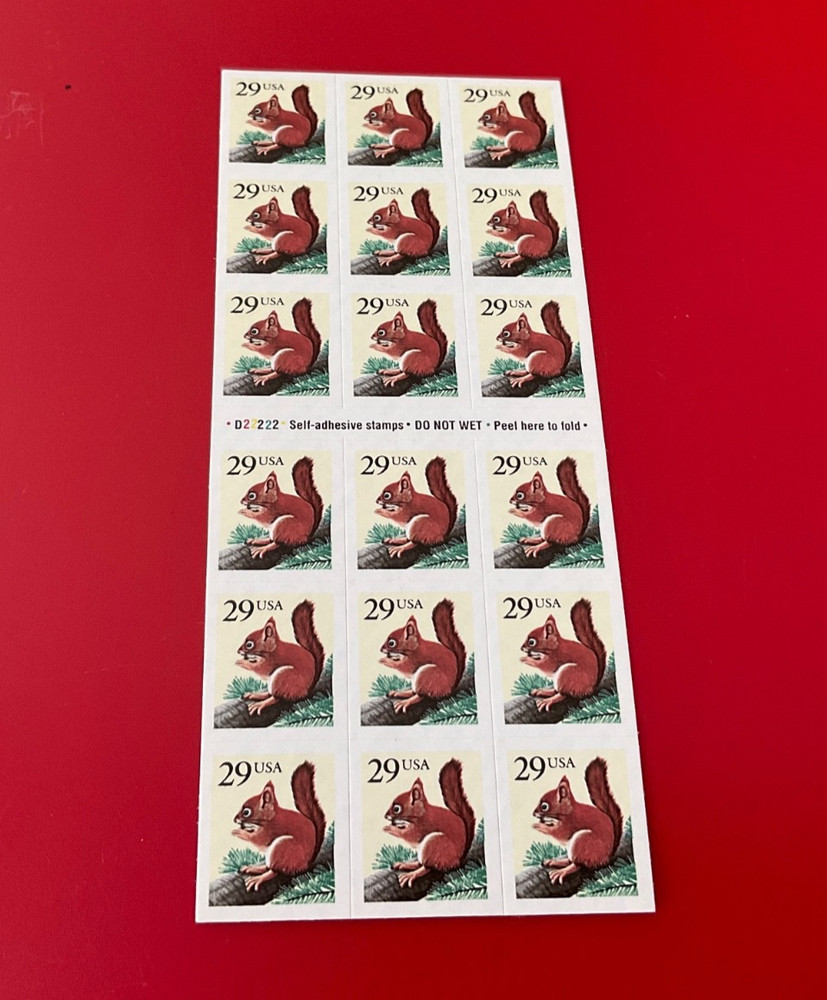 Red Squirrel