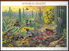 US Stamps, Full Pane of 10, Sonoran Desert, #3293, MNH