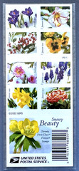 SoCo Stamps US Sc #5727-5736b BOOKLET OF 20 SNOWY BEAUTY MNH Forever