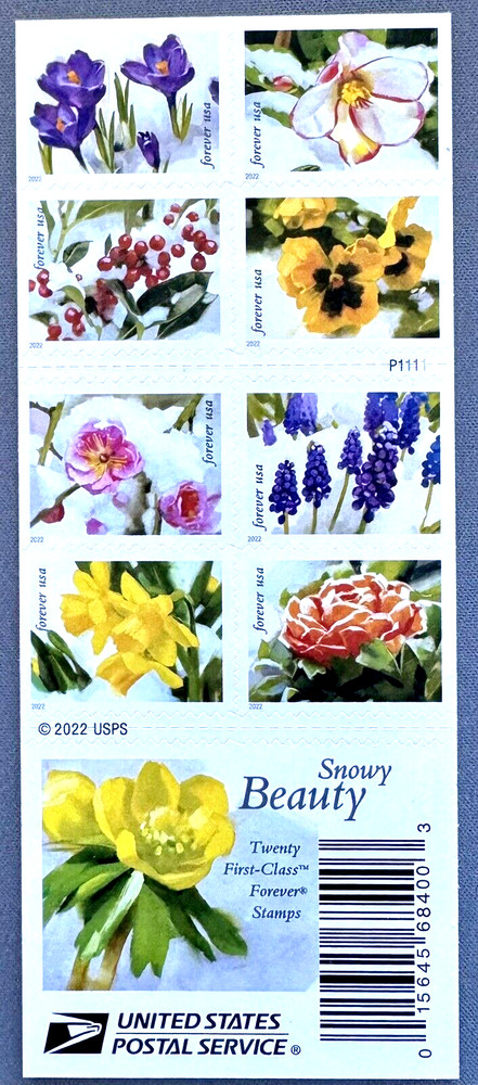 SoCo Stamps US Sc #5727-5736b BOOKLET OF 20 SNOWY BEAUTY MNH Forever