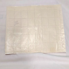 Elvis Stamp US Stamps 2721 Sheet Never Hinged Issued 01-08-93
