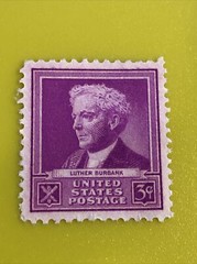 Scott # 876 3 Cent Luther Burbank U.S. Stamp