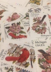 20 State Bird Stamps For Holiday, Wedding And Valentine Mail