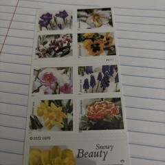 20 FOREVER STAMPS-SNOWY BEAUTY