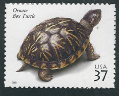 Scott #3818…37 Cent…Reptiles & Amphibians…Turtle…3 Stamps