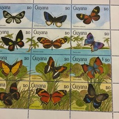 World Butterfly Stamps Guyana 1990 Butterflies Unused 16 Full Sheets