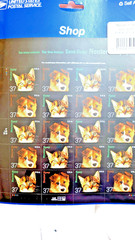 US SCOTT 3670 -71 3671a SHEET OF 20 SAVE LIVES NEUTER OF SPAY STAMPS 37 CENT MNH