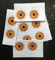 2022USA #5680 (10)Global Forever Rate – African Daisy international sase Mint