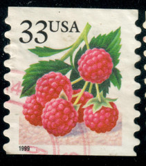 USA – 1999 – Fruits – Booklet Stamps – Raspberries – 33¢ – #3830