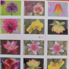 Sheet of 20 Garden Beauty Stamp 1 booklet Wedding Celebration Anniversary Stamps