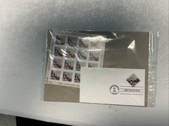 USPS Washington DC .37 Cent Stamp Set And First Day Cover FP/FDC
