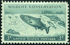 USA 1956😍Wildlife Conservation/King Salmon (Oncorhynchus tshawytscha)😍Sc.#1079