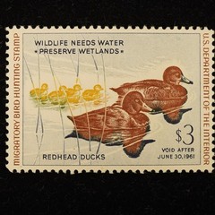 1960 $3 Federal Redhead Ducks Stamp, Lightly Hinged – Free Shipping USA